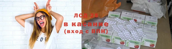 PSILOCYBIN Белоозёрский