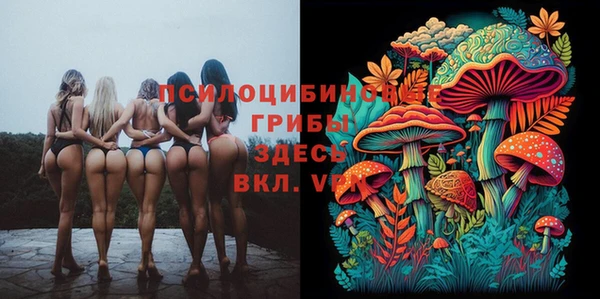PSILOCYBIN Белоозёрский