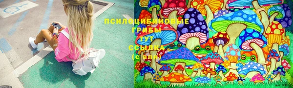 МДПВ Беломорск