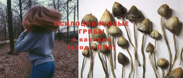 ALPHA PVP Белокуриха