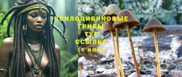 МДПВ Беломорск