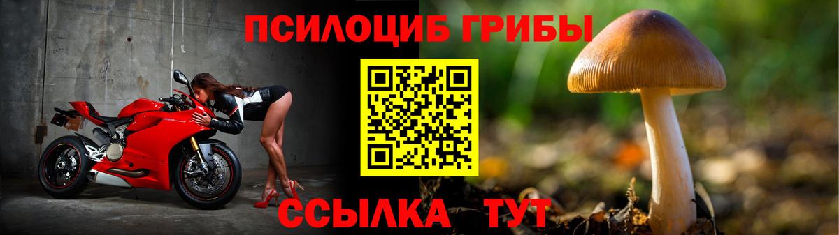 Волжск  Галлюциногенные грибы мухоморы  Вход с VPN  Галлюциногенные грибы ЛСД 