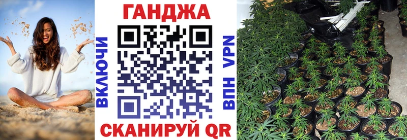 купить наркотики сайты Волжск Конопля OG Kush